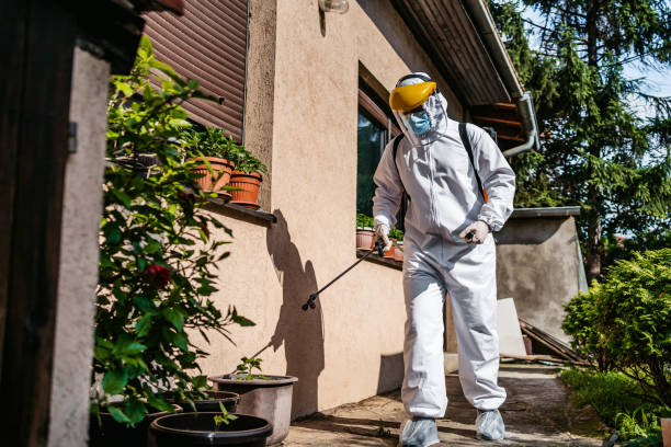 Best Insect Control  in Dawson, GA