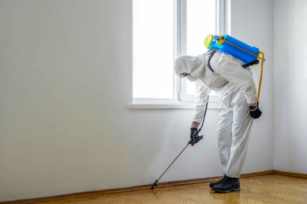 Best Flea Control Services  in Dawson, GA
