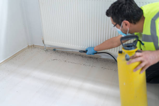 Best Pest Removal Services  in Dawson, GA