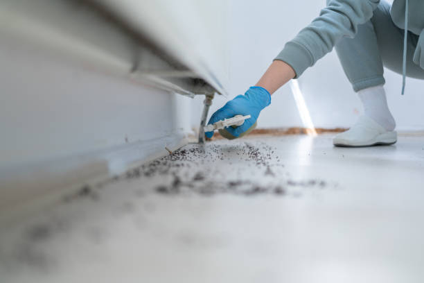 Pest Prevention Services in Dawson, GA