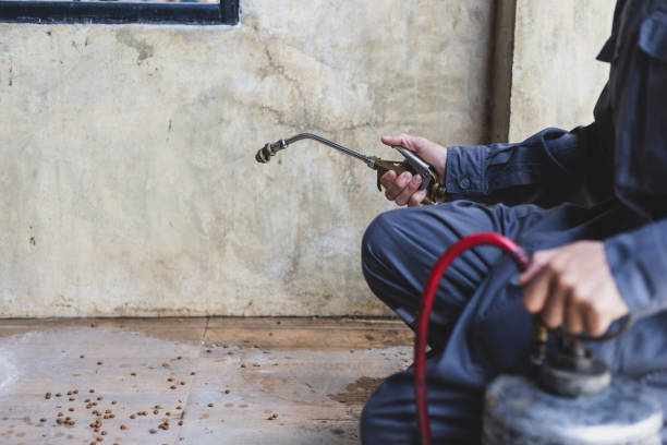 Pest Prevention Services in Dawson, GA
